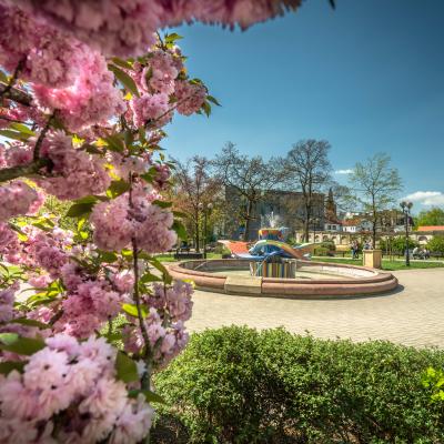 Der Springbrunnen auf dem Wolności-Platz in der Stadt Opole/Oppeln (Polen)