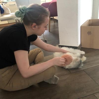 Katze Benny mit neuer Besitzerin 