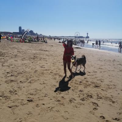 Hund Lou am Strand
