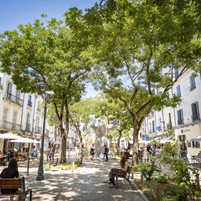 Der Place du Grand Marche in der französischen Partnerstadt Tours.