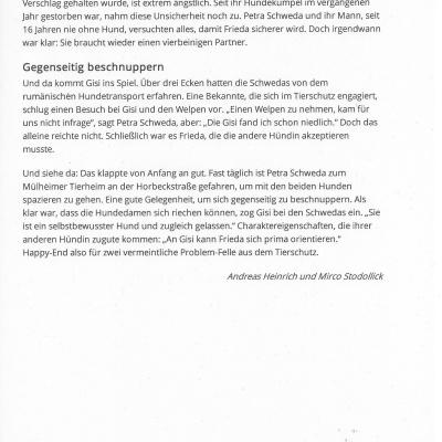 Zeitungsartikel über Effe