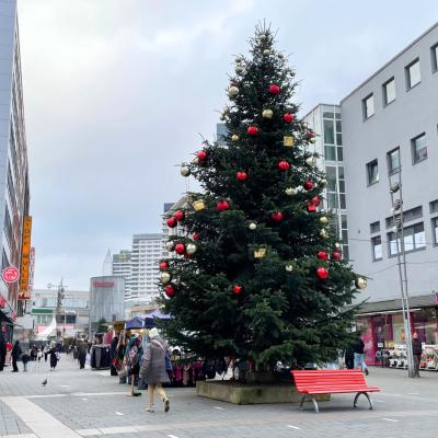 Weihnachtsbaum in der Mülheimer Innenstadt