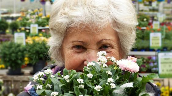 Ältere Frau schaut hinter einem Blumenstrauß hervor. Seniorinnen und Senioren