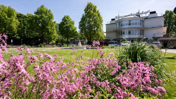 Bienenfreundliche Staudenbepflanzung am Wasserbahnhof