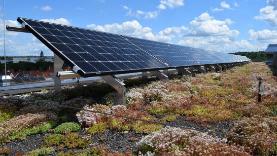 Flachdach begrünt und mit Photovoltaikanalage 