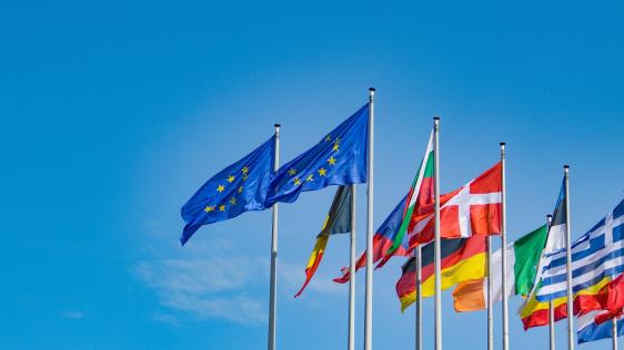 Länder- und Europaflaggen vor einem blauen Himmel wehend.