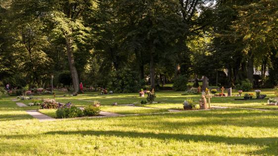 Ein Urnengrabfeld auf dem Altstadtfriedhof mit belegten und freien Stellen.