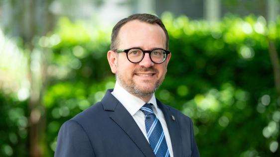 Person in dunkelblauem Anzug, weißem Hemd und blau-weiß gestreifter Krawatte vor grüner Hecke