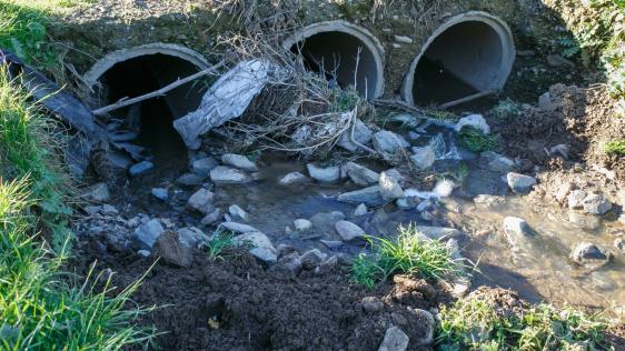 Auf dem Foto sind drei Betonrohre abgebildet aus diesen fließt Abwasser in den Boden
