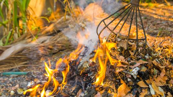 Brennendes Laub im Garten, das von einer Harke angeschürt wird.