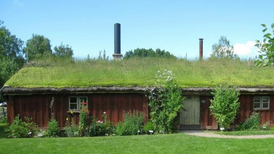 Häuschen mit Dachbegrünung.