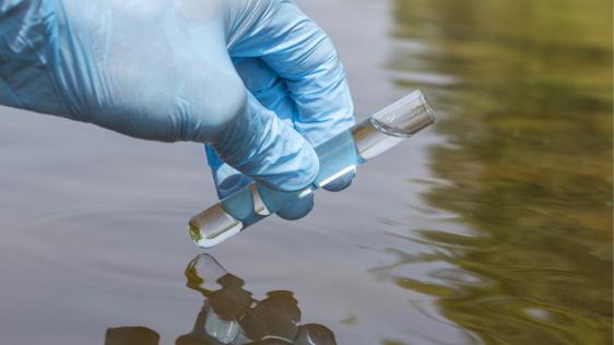 Eine Wasserprobe wird zu Testzwecken entnommen.