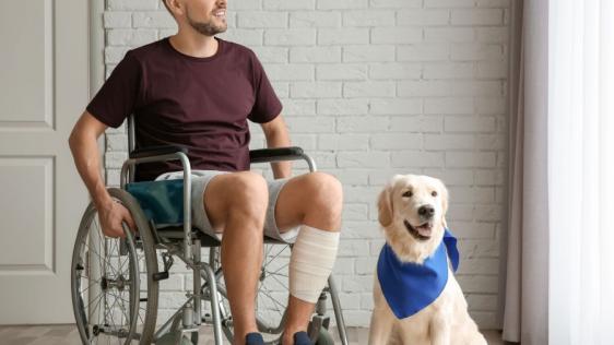 Ein junger Mann mit einem dunkel rotem Shirt und kurzer Hose sitzt in einem Rollstuhl. Neben dem Mann sitzt ein heller Retriever mit einem blauen Halstuch.