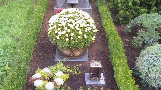 Beispiel einstelliges Sarg-Erdgrab mit Heckenumrandung, Blumenschale und Grabstein