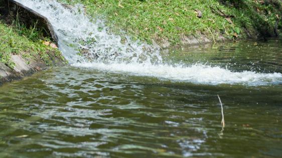Geklärtes Abwasser fließt in einen größeren Kanal.