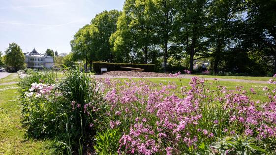 Die Blumenbeete auf der Schleuseninsel wurden entlang der großen Wiesenfläche neu bepflanzt.