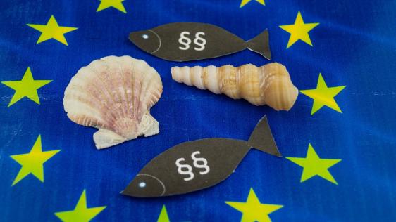 Muscheln und aus Papier ausgeschnittene Fische, auf welche Paragraphen gezeichnet wurden, auf dem Grund einer europäischen Flagge.