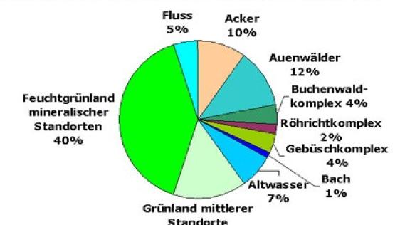 Anteile der Lebensräume der Ruhraue.
