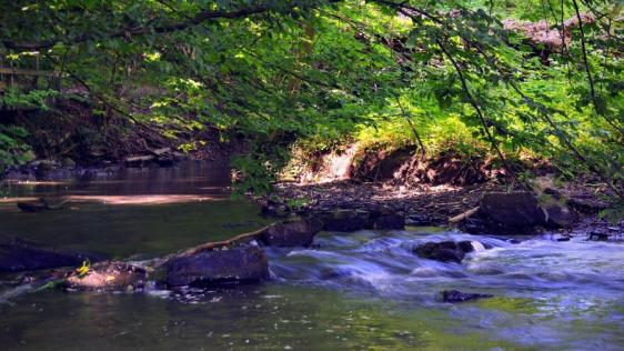 Idylle an der Ruhr.