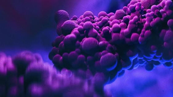 Mikroskopische Ansicht schwimmender Mpox-Viruszellen