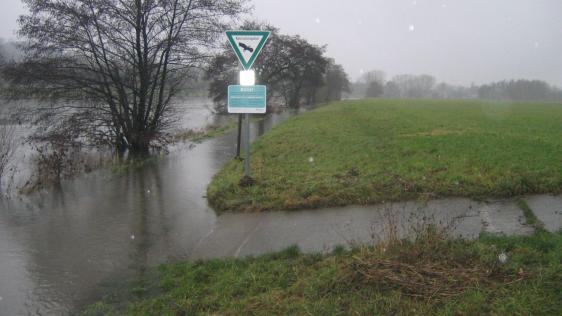 Blick in die Ruhrtalaue vom Wetzkamp/Ecke Leinpfad Richtung Kocks Loch.