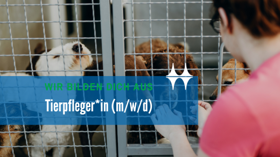 Anzeigebild für das Berufsbild Tierpfleger*in