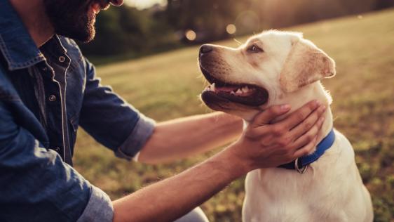 ein Mann der lächelt und einen braunen Hund streichelt