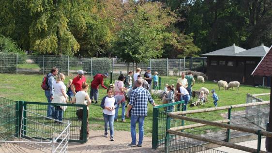 Bild vom Tierpatentag am 16.09.2018 im Tiergehege Arche Park Witthausbusch.