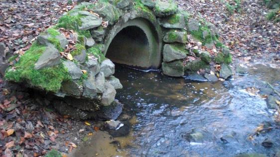 Die Verrohrung unter dem Waldweg Holzenbergs Bruch.