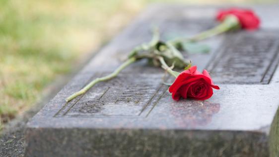 Foto mit roten Rosen auf einem Grabstein
