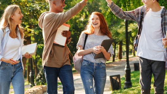 Übergang Schule-Beruf