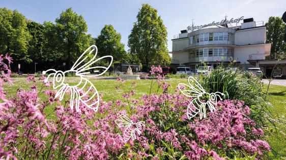 Anpassung an den Klimawandel