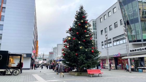 Weihnachtsbaum in der Mülheimer Innenstadt