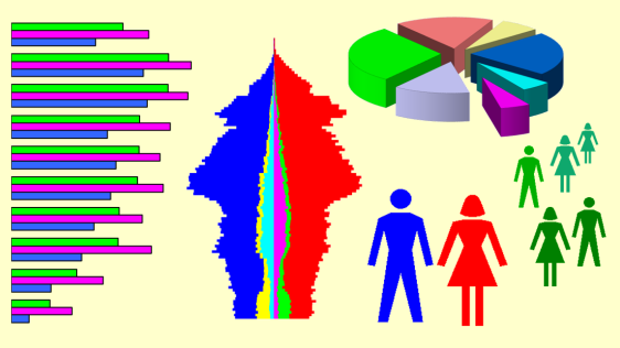Bevölkerungspyramide und Tortendiagramm