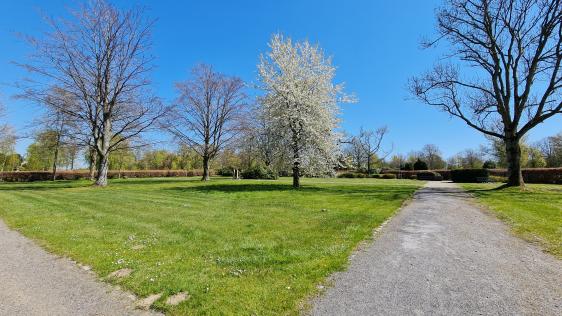 Grabfeld für anonyme Sargbeisetzungen