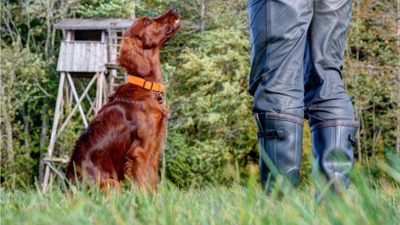 Jäger mit Hund vor einem Hochsitz