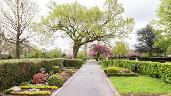 Individuell gestaltbare Erdgrabstätten für Särge