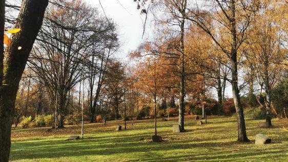 Familienbäume auf dem Hauptfriedhof Mülheim an der Ruhr