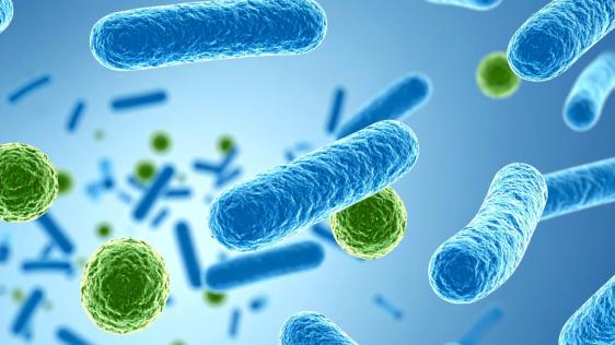 Eine vergrößerte Ansicht von Multiresistenten Erregern. 