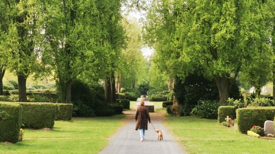 Ein Hundebesitzerin auf einem Weg auf einem Friedhof. Der Hund ist an der Leine, beide sind von hinten zu sehen