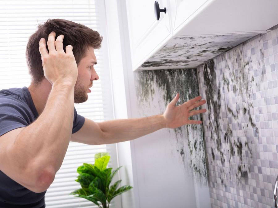Ein Mann steht verzweifelt in seiner Küche und fasst sich ratlos an den Kopf, da er an seiner Küchenwand einen großen Schimmelfleck entdeckt hat.