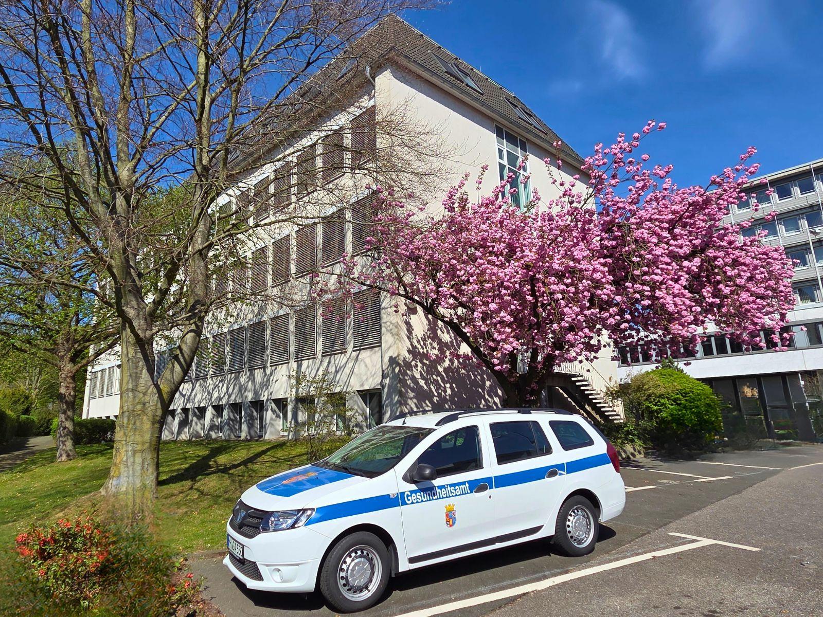 Der Dienstwagen des Gesundheitsamtes steht auf einem Parkplatz vor dem Gesundheitsamt. 
