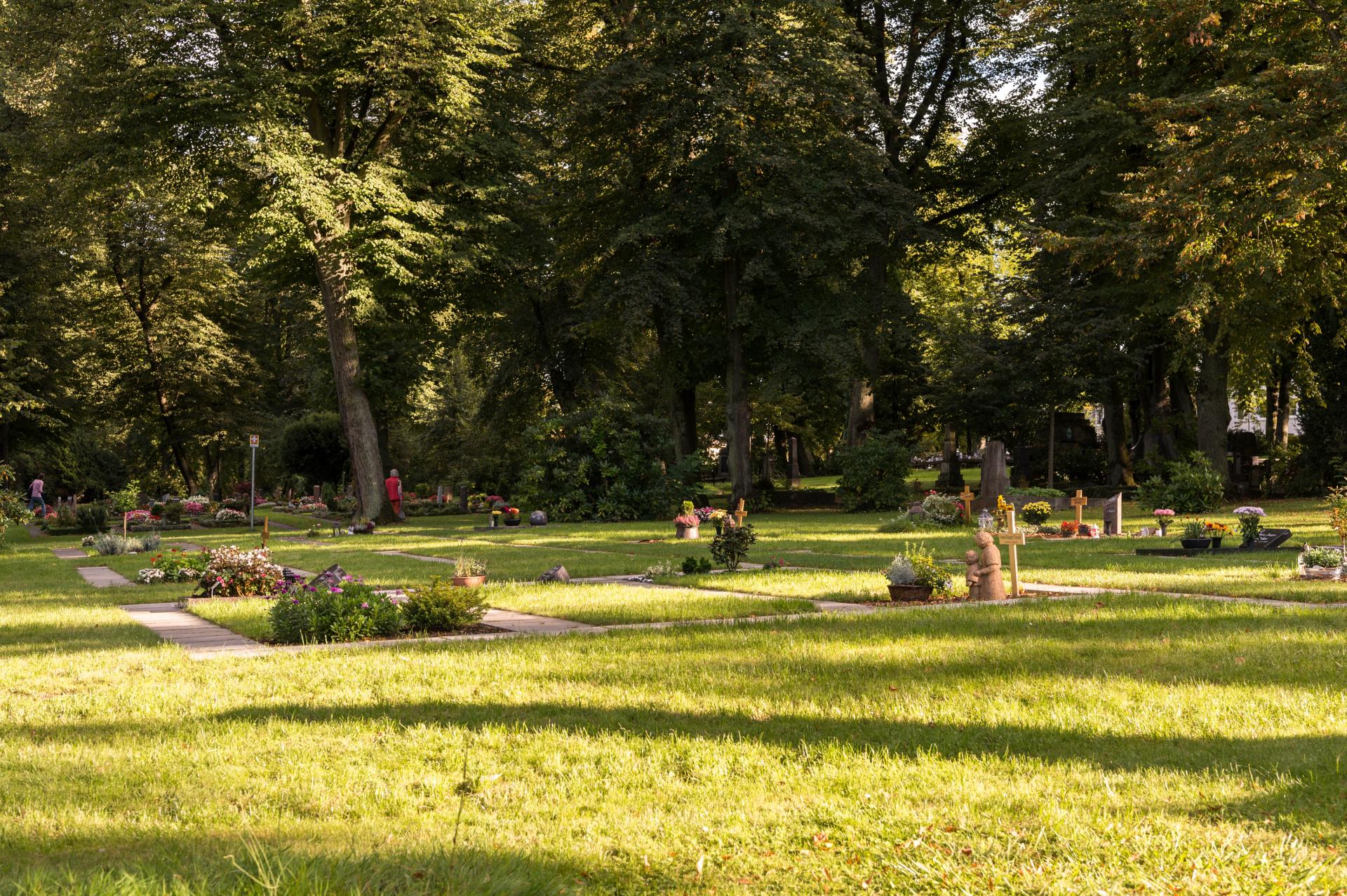 Ein Urnengrabfeld auf dem Altstadtfriedhof mit belegten und freien Stellen.