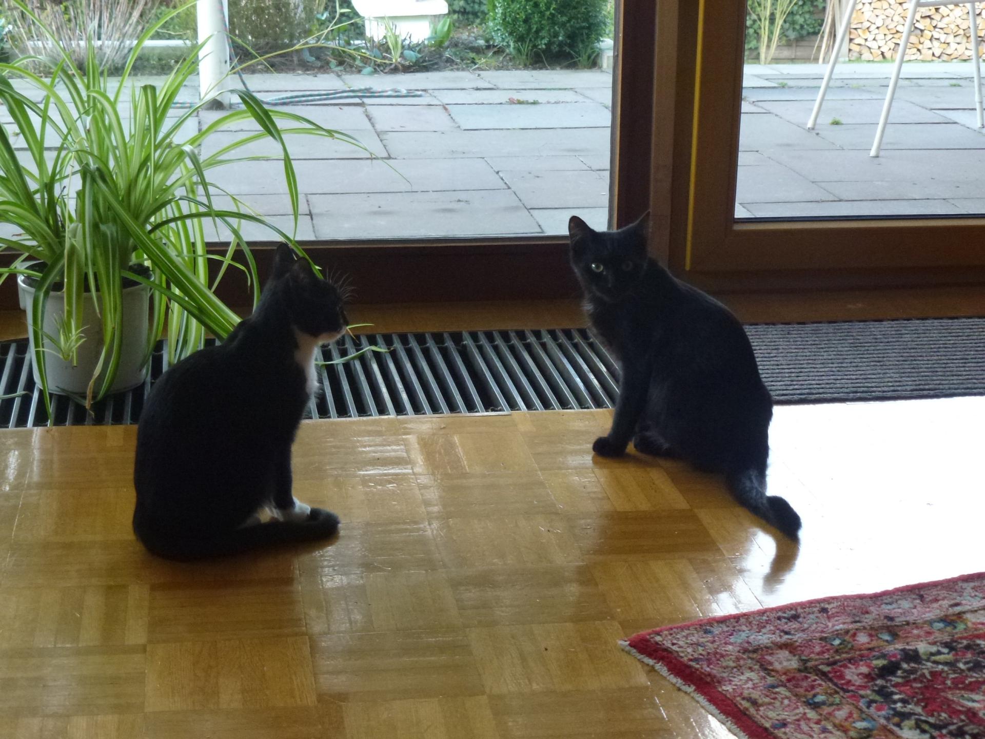 Billy und Zoe sitzen gemeinsam auf dem Boden