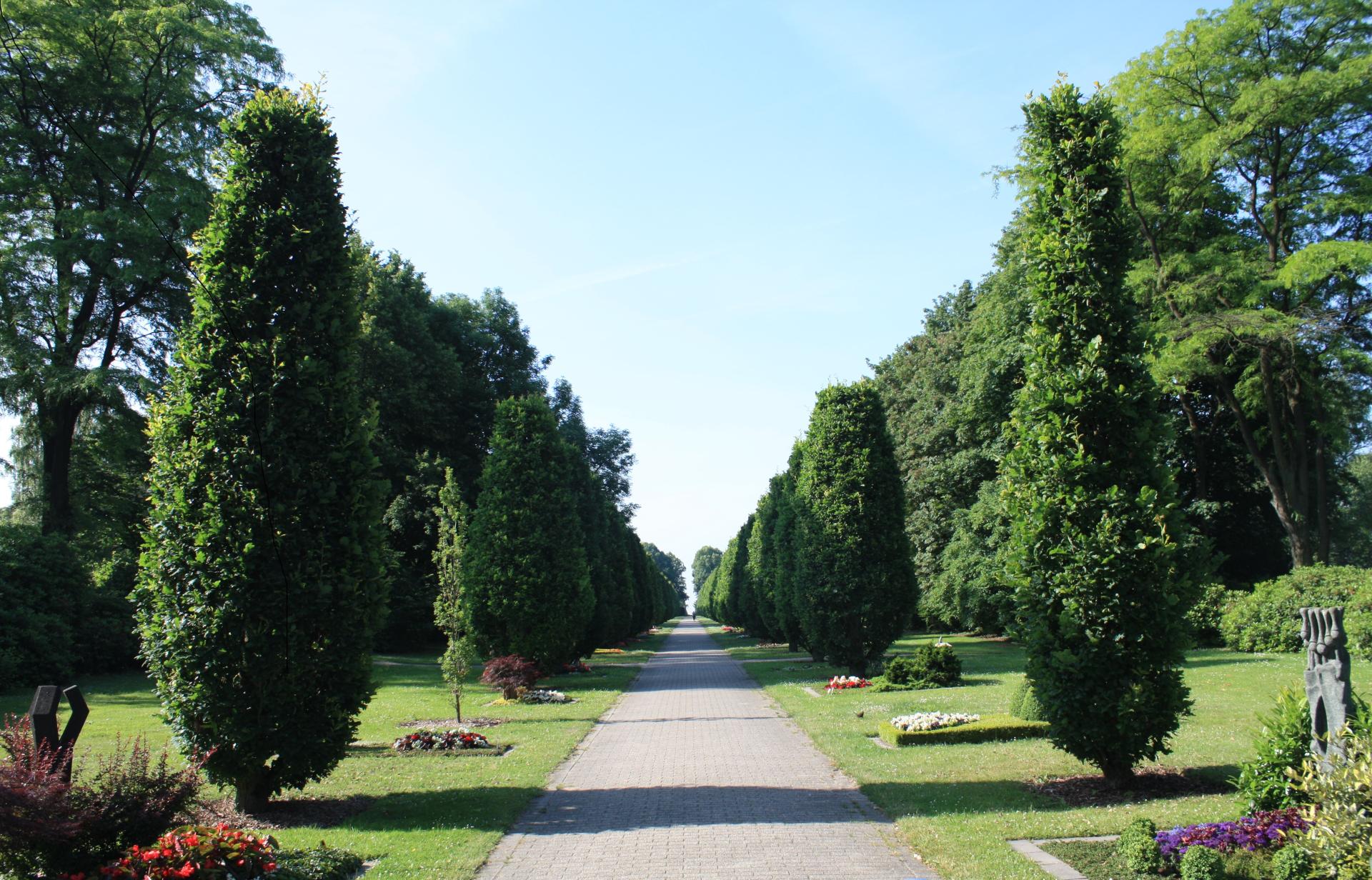 Blick in die 300 m lange "Eichenachse". Der Weg ist gepflastert, die links und rechts leigenden Schaugräber sind nicht mehr vorhanden