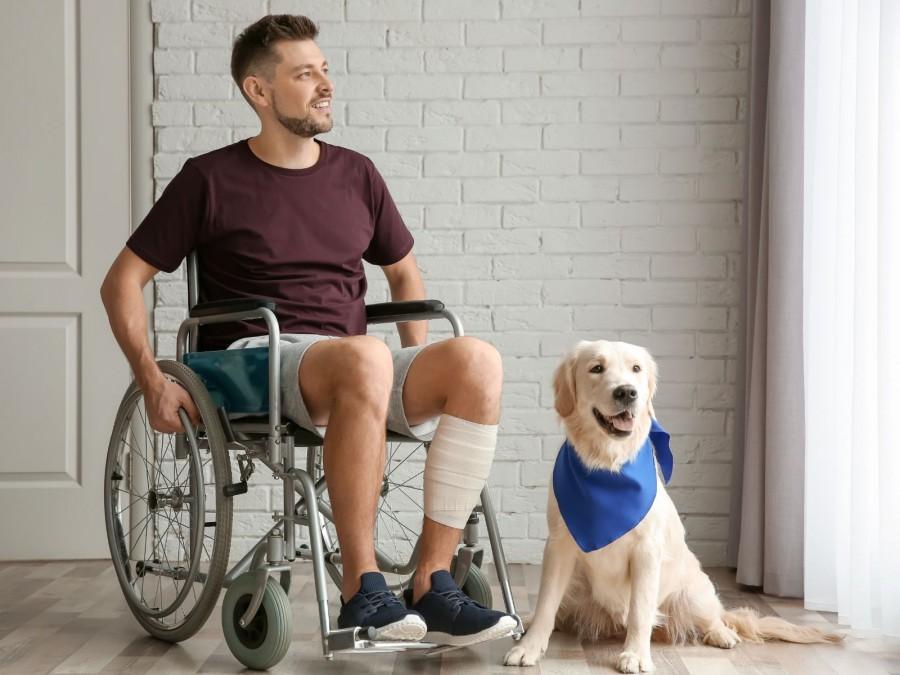 Ein junger Mann mit einem dunkel rotem Shirt und kurzer Hose sitzt in einem Rollstuhl. Neben dem Mann sitzt ein heller Retriever mit einem blauen Halstuch.