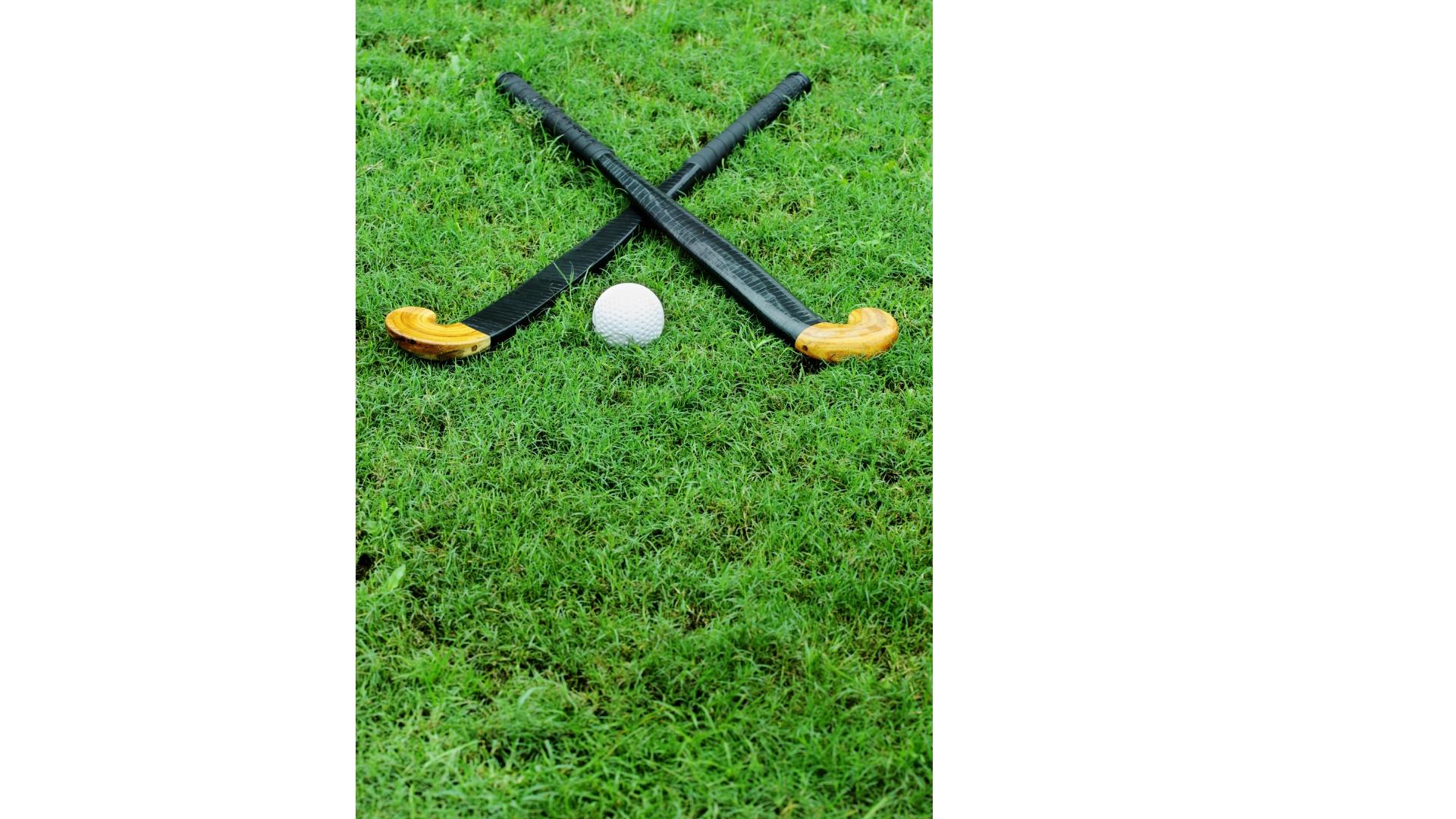 Zwei gekreuzte Hockeyschläger auf grünem Rasen, in der Mitte ein Ball.