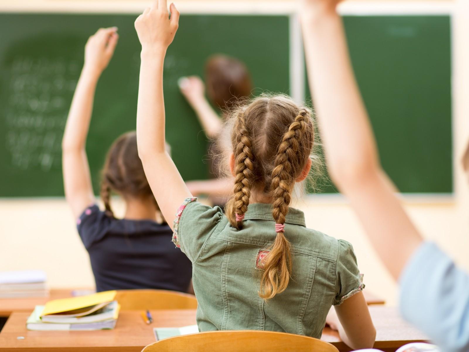 Schüler die sich melden