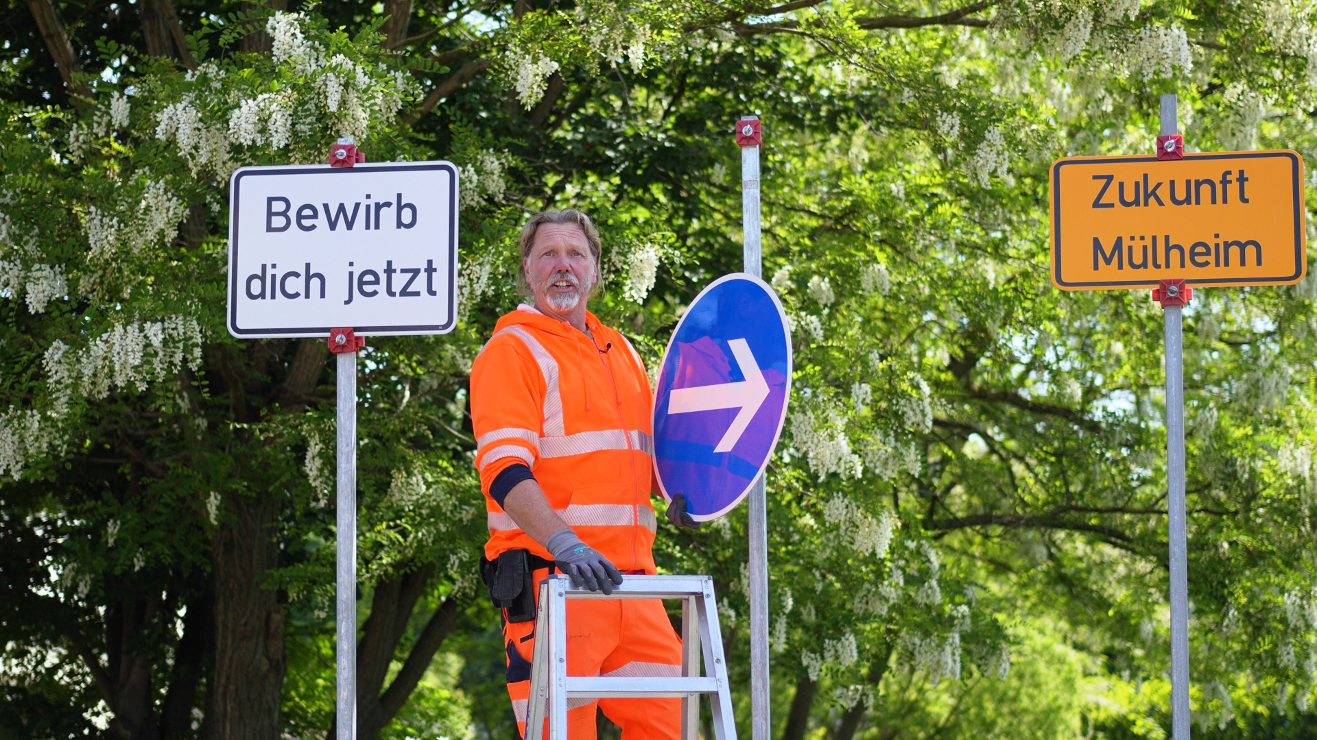 Ein Mitarbeiter des Bauhofs steht in Arbeitskleidung auf einer Leiter und kümmert sich um ein Verkehrsschild.