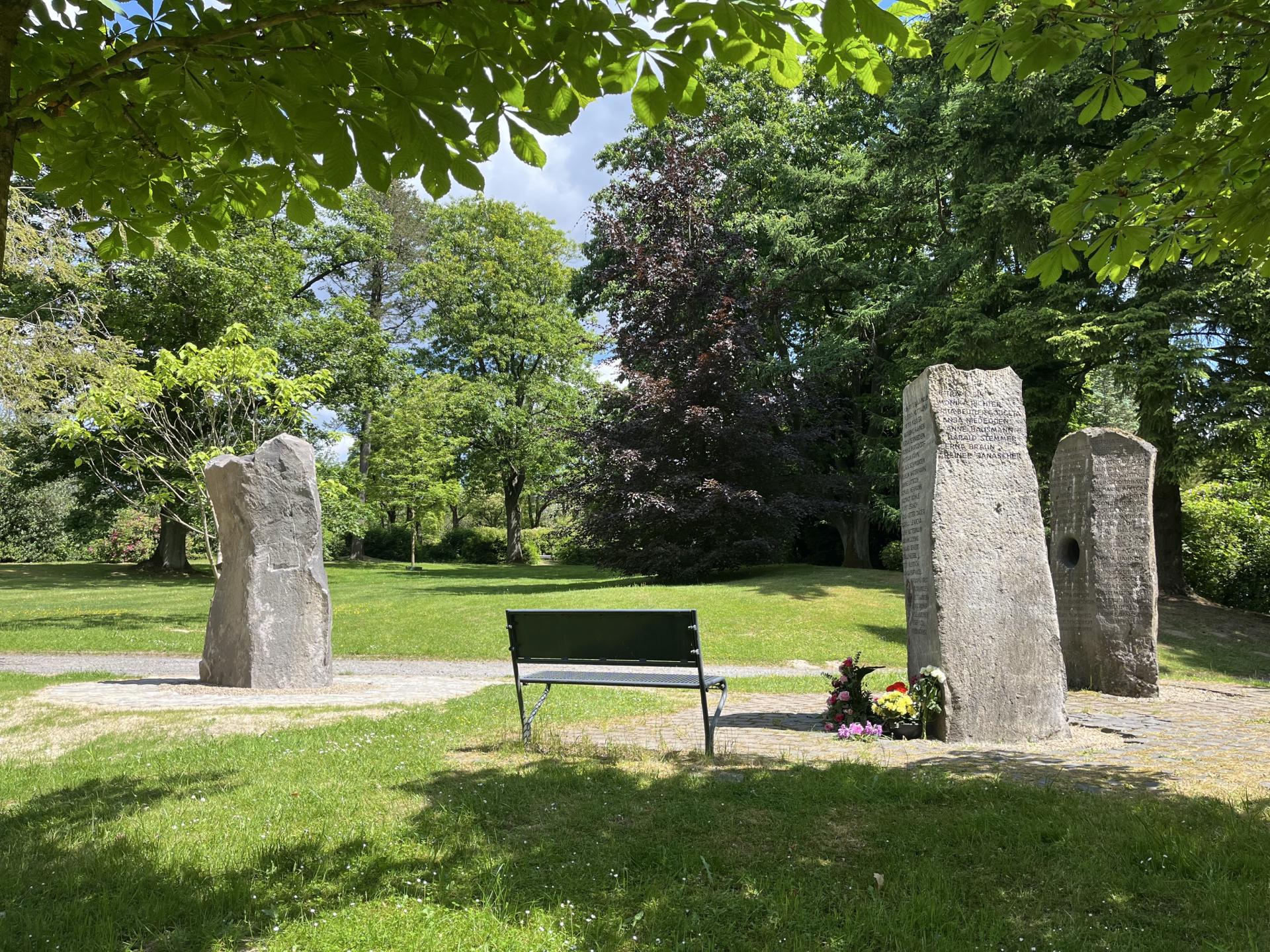 Das Baumbestattungsfeld auf dem Hauptfriedhof. Im Vordergrund eine Bank mit den 3 großen Findlingen als Gemeinschaftsgrabmal. Im Hintergrund eine Rotbuche, unter der Urnen beigesetzt werden.